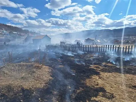 Нийслэлд 11 удаа шар өвсний түймэр гарчээ