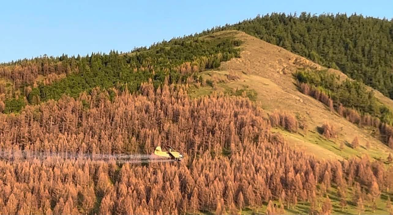 Сэлэнгийн ойд зугаалахгүй байхыг анхаарууллаа