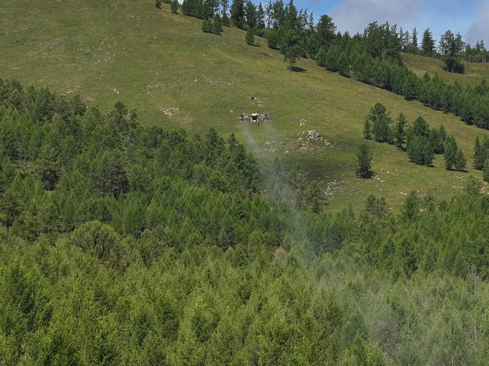 Түшигийн ойд зугаалахгүй, самар, жимс, мөөг, ургамал түүхгүй байхыг анхааруулъя