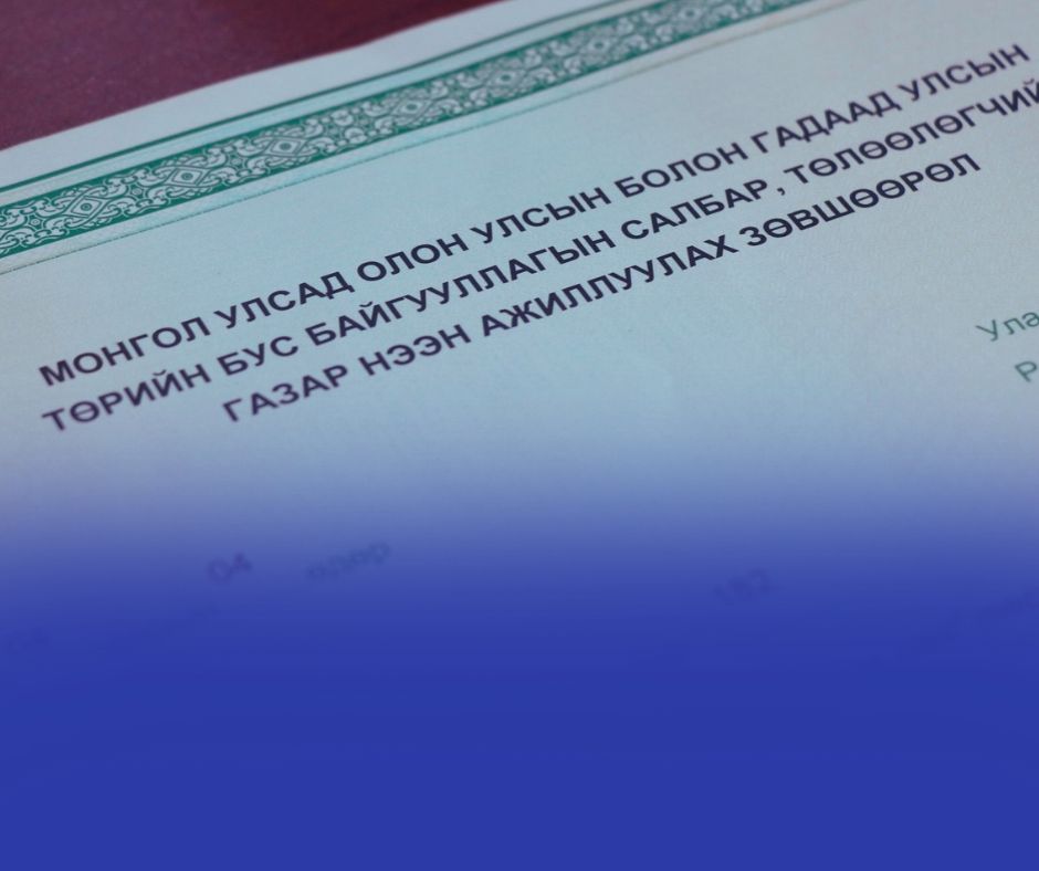 Монгол Улсад 17 улсын 74 олон улсын болон гадаад улсын төрийн бус байгууллага явуулж байна