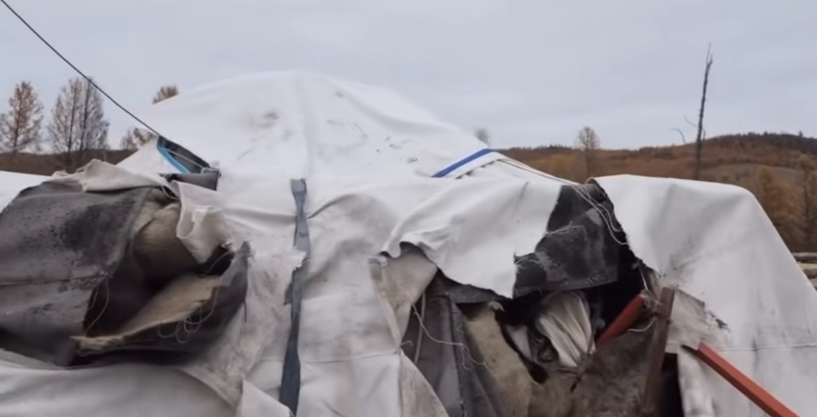 Малчны өвөлжөөнд 3 шөнө дараалан баавгай иржээ