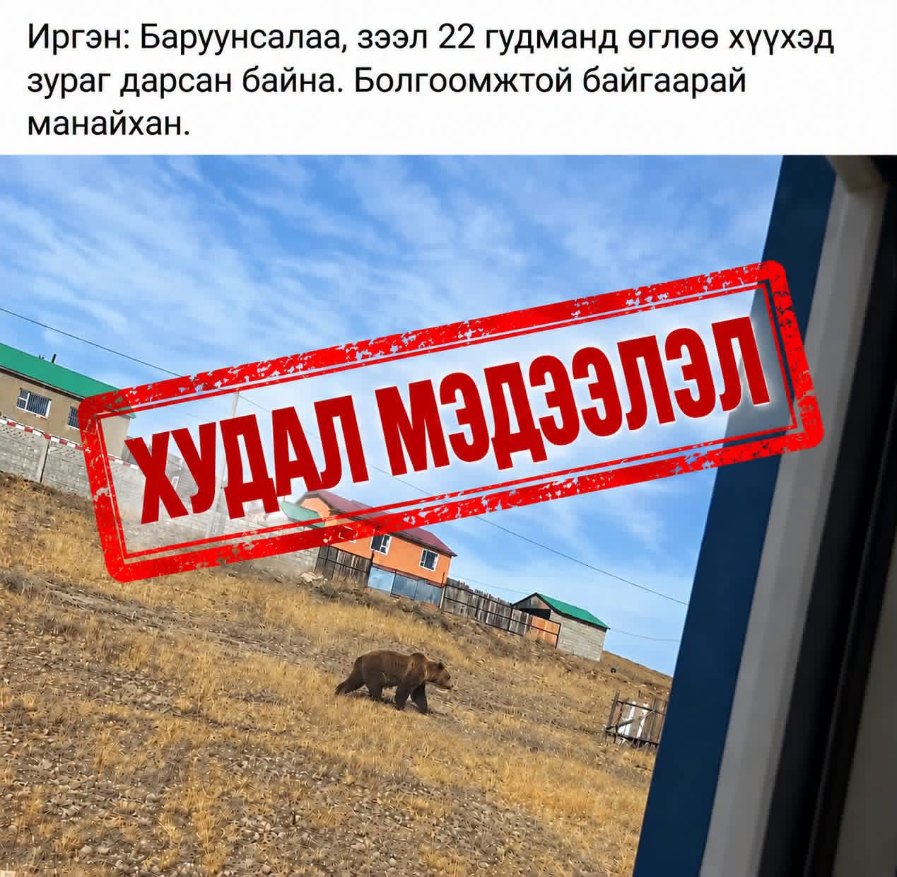 Баавгайн хуурамч зураг фэйсбүүкт тавьсан хүнийг торгожээ